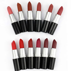 12 High Quality Matte Lipstick Color Set Long Lasting Waterproof