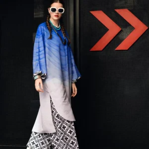 2 Pcs Women's Stitched Swiss Lawn Printed Shirt And Trouser(blue)